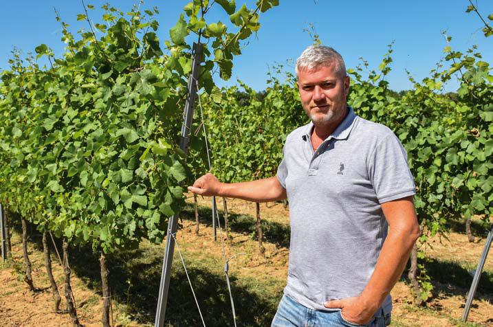 Mechanizácia postupne nahrádza vo vinohradoch ľudskú prácu
